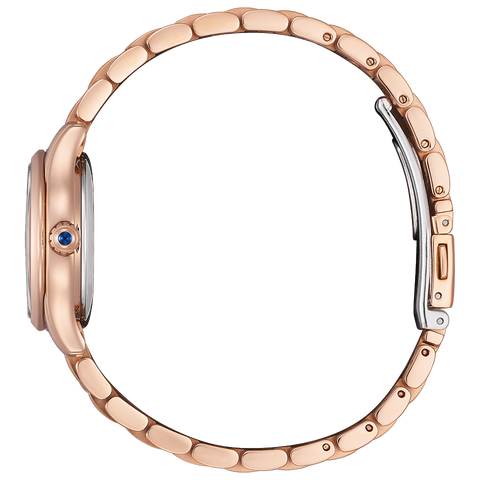 IPPO JAPAN WATCH PR1045-50W WATCH - Citizen Mechanical COLLECTION limited Stainless steel ladies watch 2026.2.5 release (Imag
