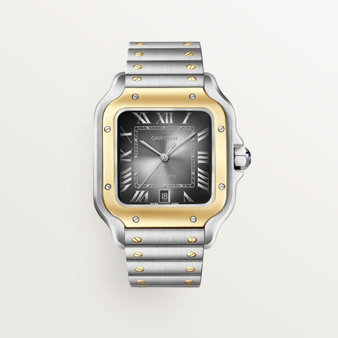 Cartier Santos de Cartier w2sa0030 Automatic 47.5mm Men Unisex Watch