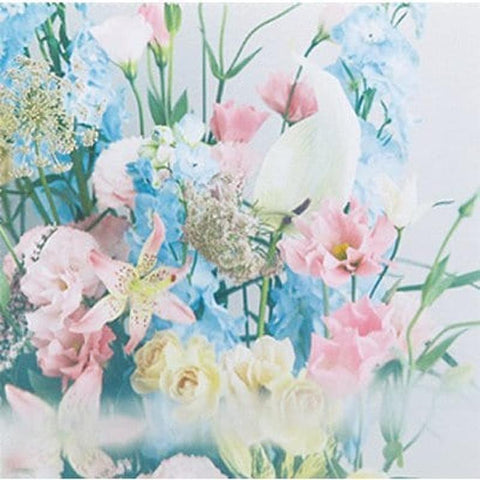 Seiko Lukia SSQW084 LUKIA Grow Lady Watch Limited to 700 pieces in Japan 2024.2release Watch