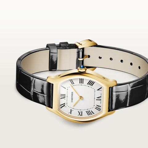 Cartier wgto0015 Watch