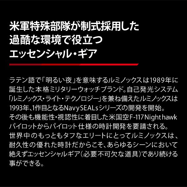 Luminox 6422 Watch - F-117 NIGHTHAWK 6420 SERIES Ref. (Image 6)