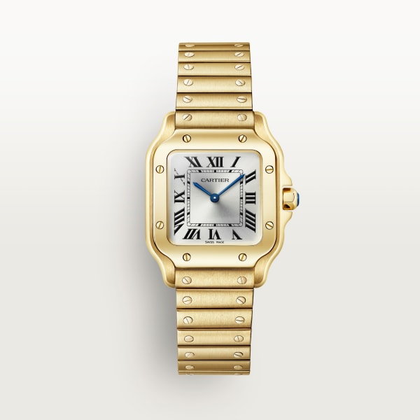 Cartier wgsa0107 Watch - Santos de Cartier watch