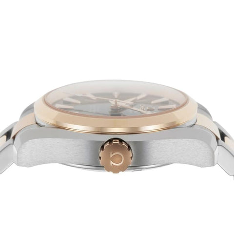 OMEGA 231.20.39.22.06.001 Watch - Seamaster Aqua Terra Gray Parallel Import 5-Year Warranty (Image 3)