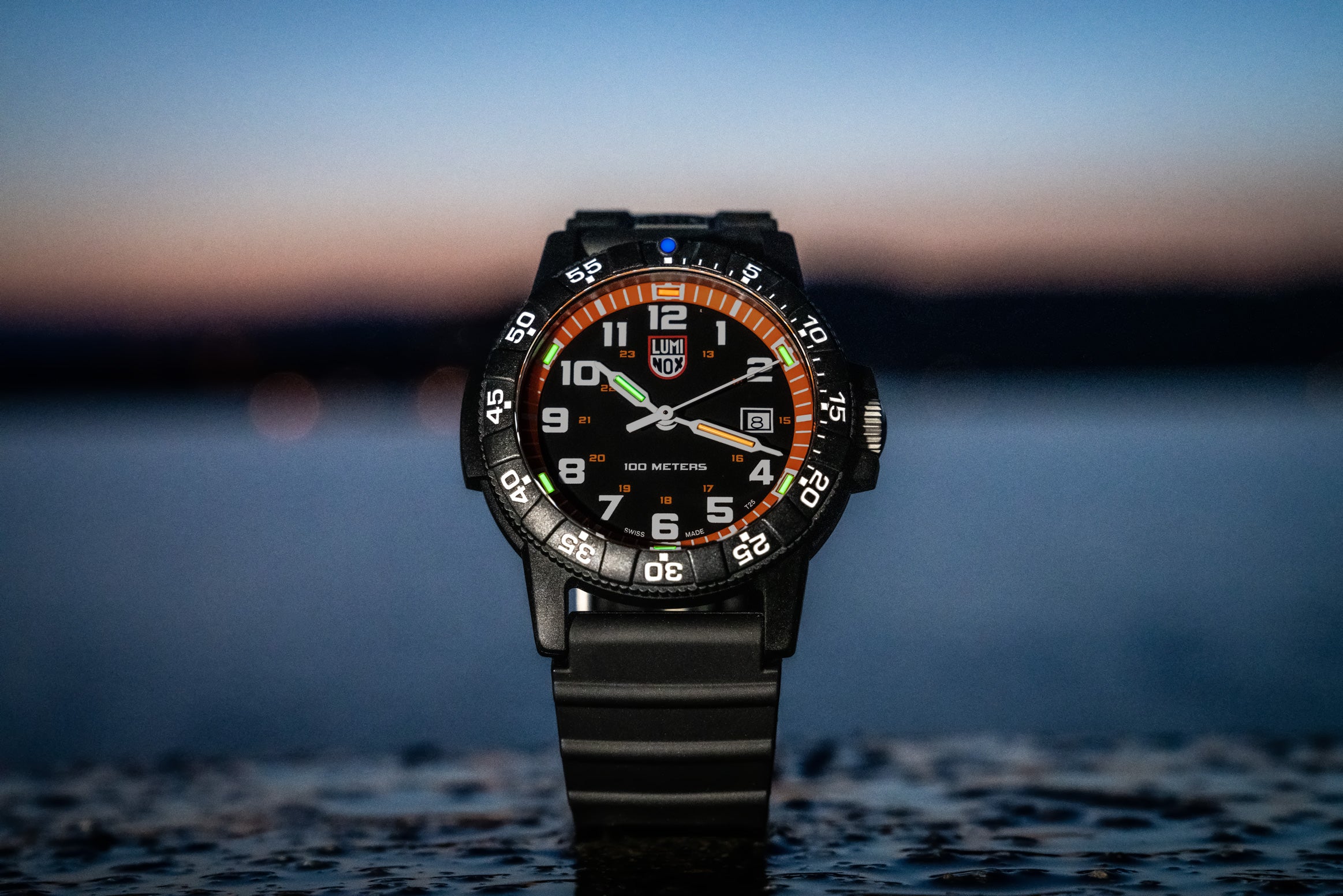 Luminox 0329.1 Watch - LEATHERBACK SEA TURTLE GIANT 0320 SERIES Ref. (Image 6)