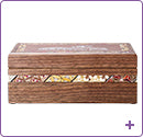 Neon Genesis Evangelion x Shinkansen 500 TYPE EVA Hakone Marquetry Music Box Limited Edition