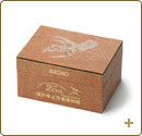 Seiko x Fukui Prefectural Dinosaur Museum Tyrannosaurus Model Collaboration Watch