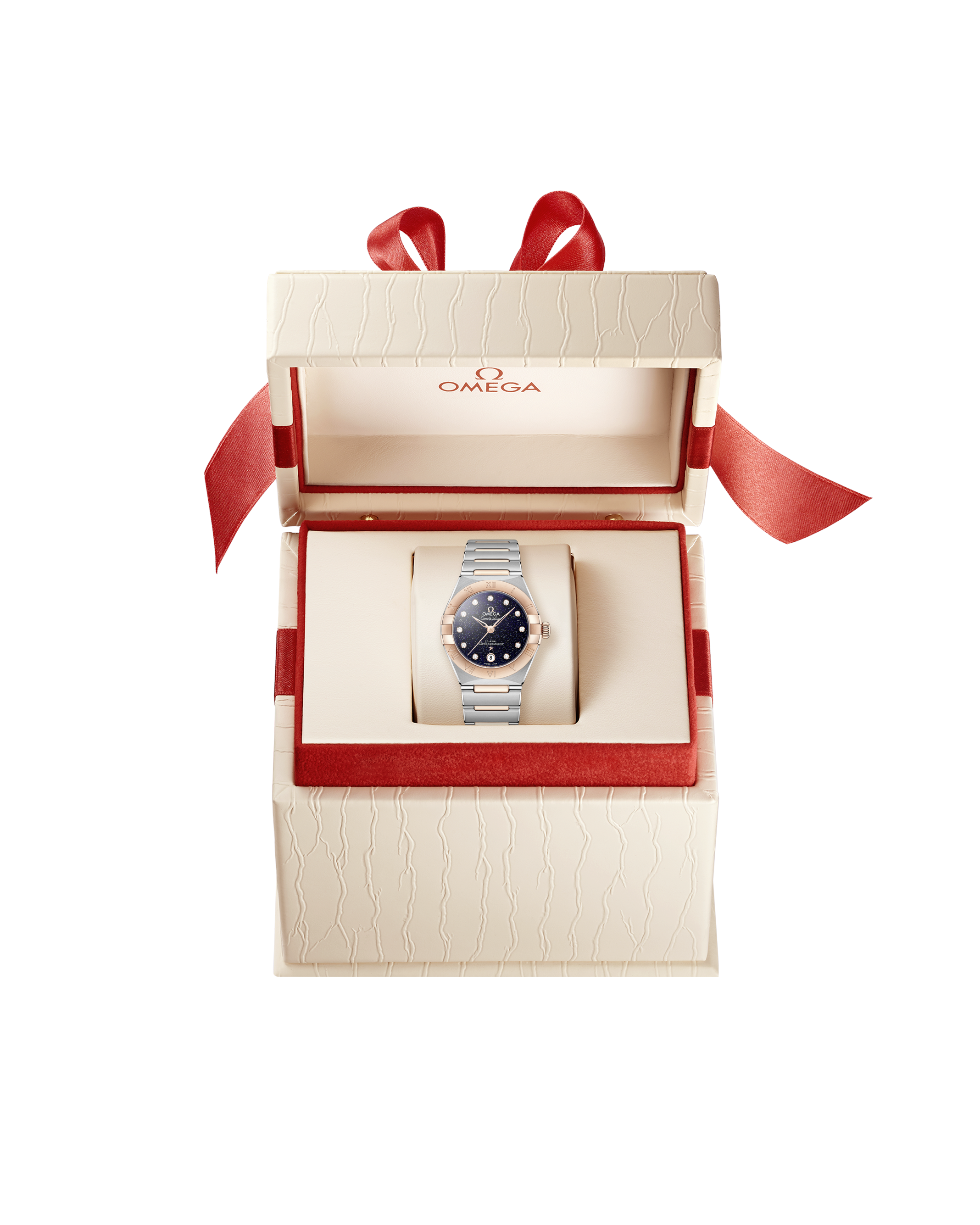 OMEGA 131.20.29.20.53.002 WATCH