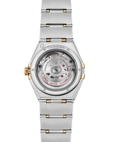 OMEGA 131.25.29.20.58.002 WATCH