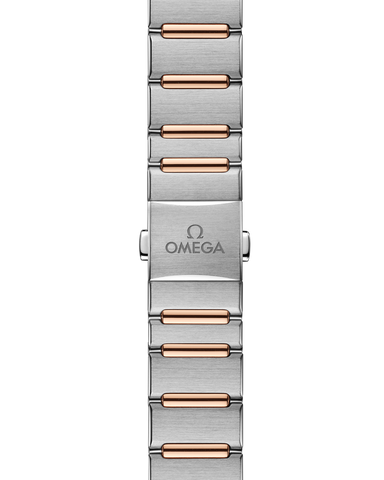 OMEGA 131.25.29.20.99.001 WATCH