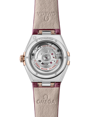 OMEGA 131.28.29.20.52.001 WATCH