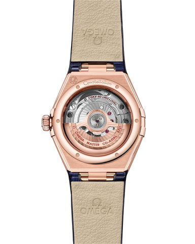 OMEGA 131.53.29.20.53.003 WATCH