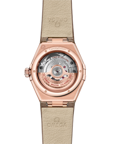 OMEGA 131.53.29.20.55.002 WATCH