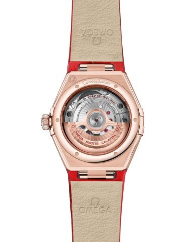 OMEGA 131.53.29.20.99.003 WATCH