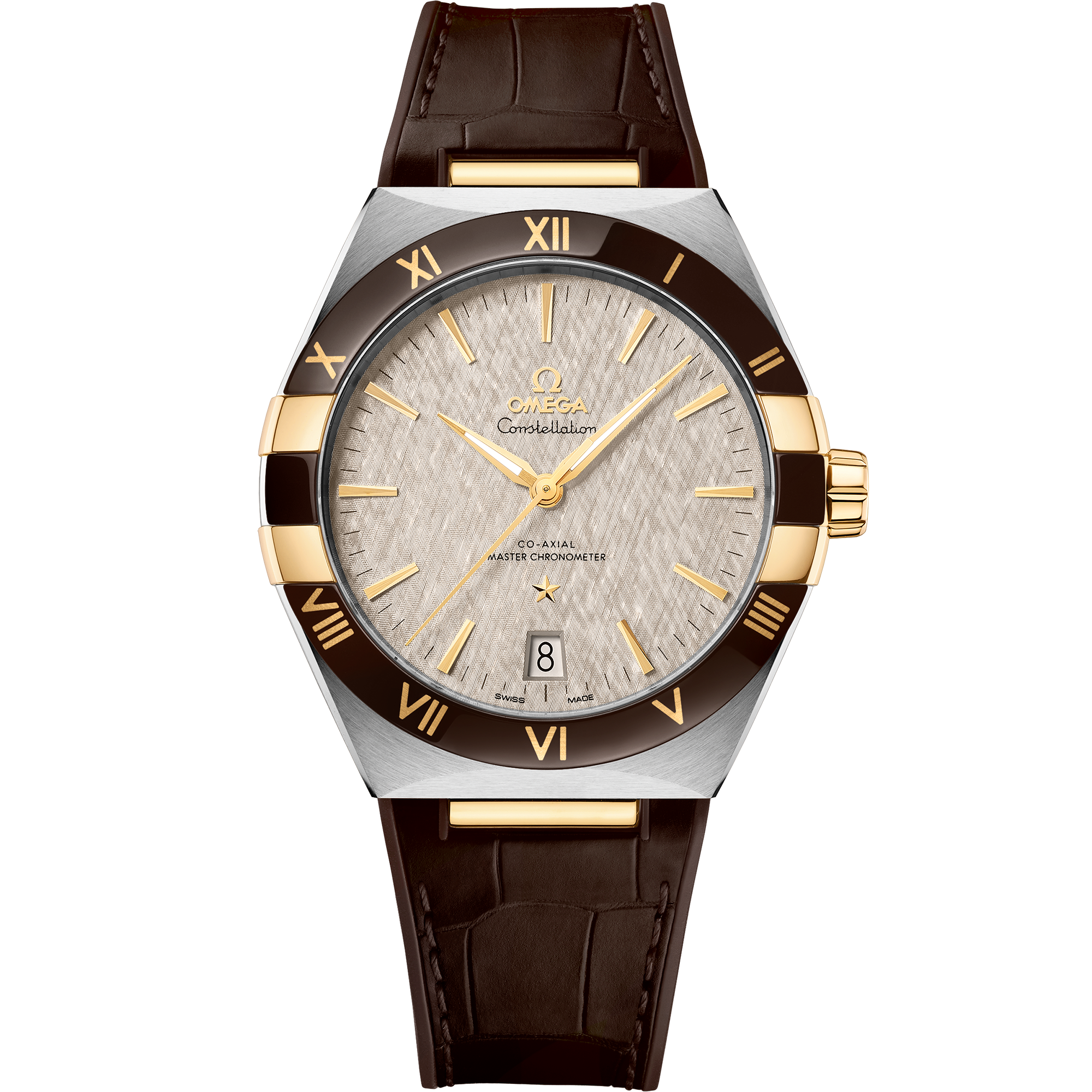 OMEGA 131.23.41.21.06.002 WATCH