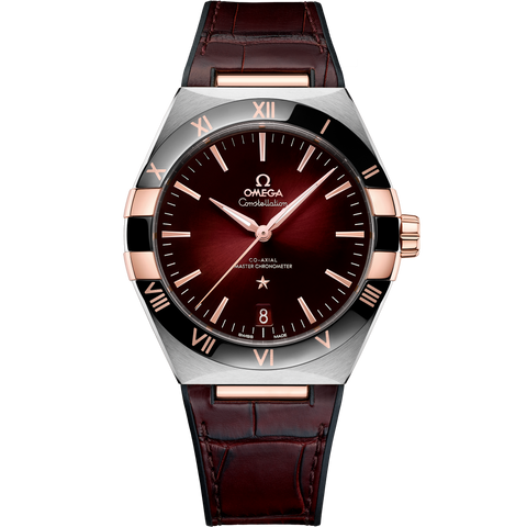 OMEGA 131.23.41.21.11.001 WATCH