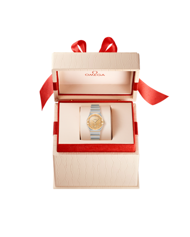 OMEGA 131.20.25.60.58.001 WATCH
