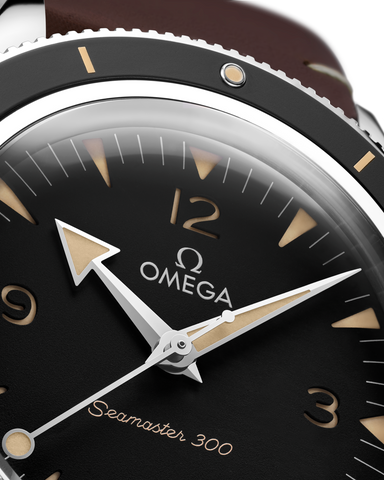 OMEGA 234.32.41.21.01.001 WATCH