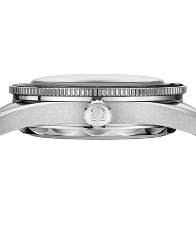 OMEGA 234.32.41.21.01.001 WATCH