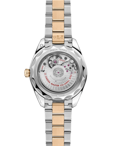 OMEGA 220.20.30.20.02.001 Elegant Design Automatic Movement Stainless Steel Case Water Resistant