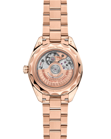 OMEGA 220.50.30.20.09.001 Elegant Design Swiss Automatic Movement Water-Resistant Luxury Timepiece