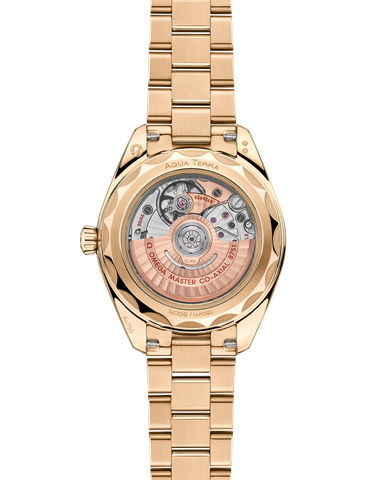 OMEGA 220.55.30.20.60.001 WATCH