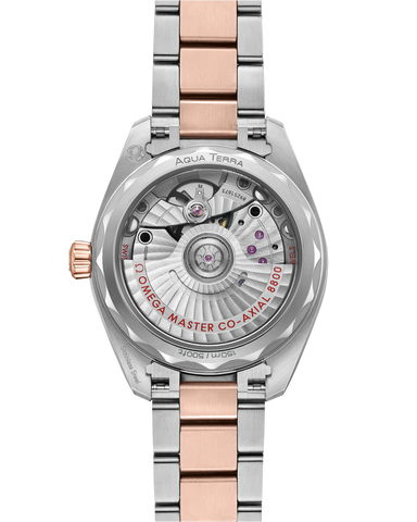 OMEGA 220.20.34.20.03.001 WATCH