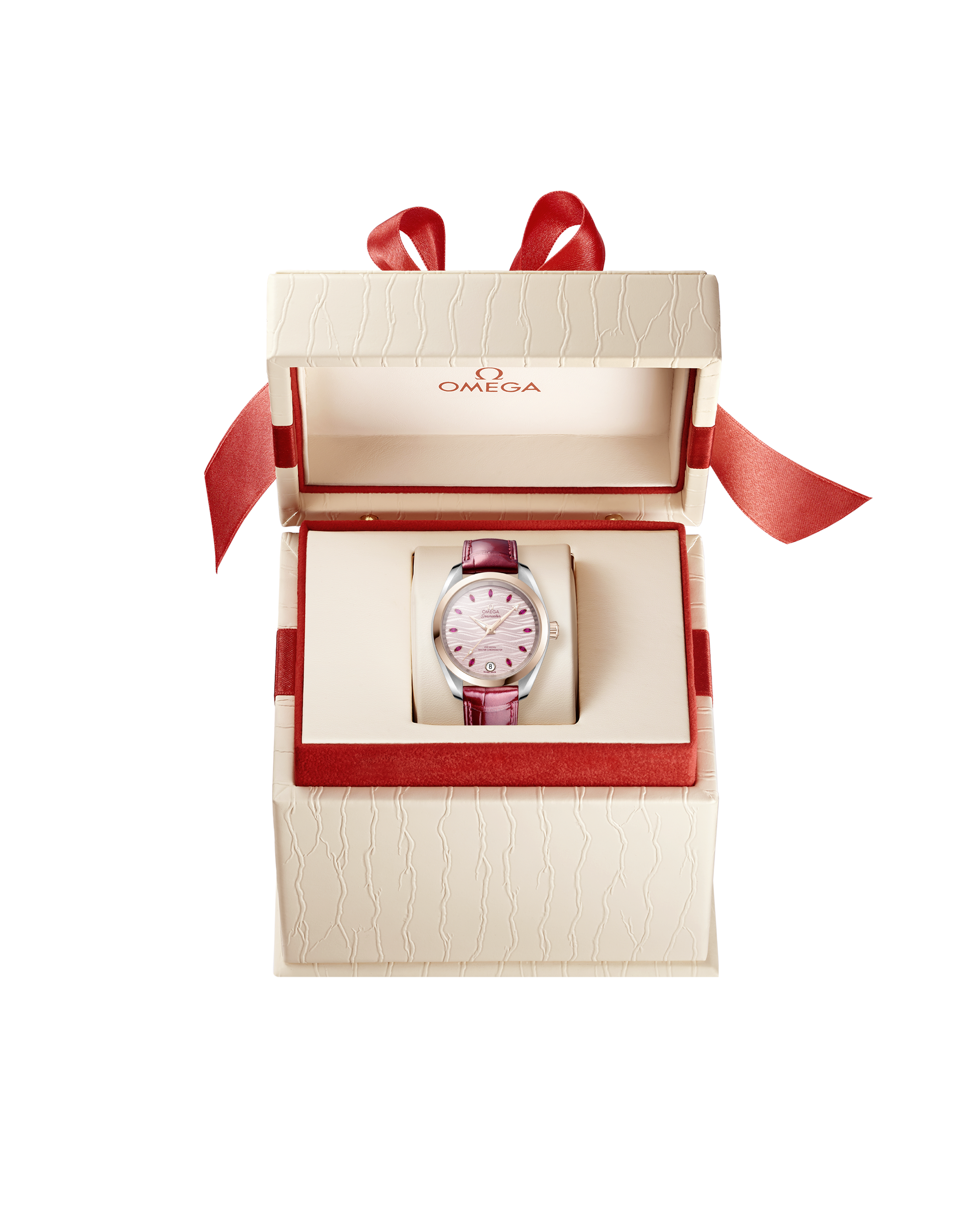 OMEGA 220.23.34.20.60.001 WATCH