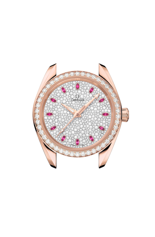 OMEGA 220.55.34.20.99.007 WATCH