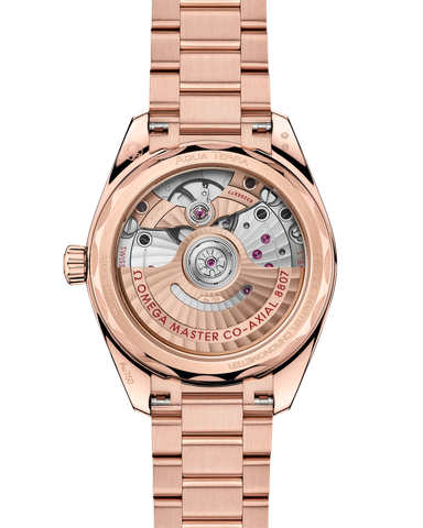 OMEGA 220.55.34.20.99.007 WATCH