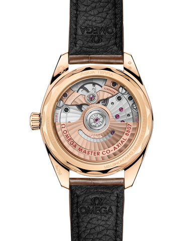 OMEGA 220.58.34.20.99.008 WATCH