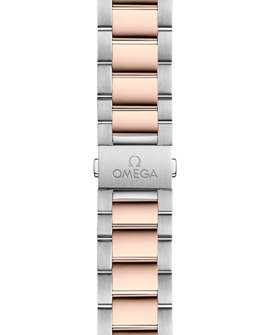OMEGA 220.20.38.20.02.001 WATCH
