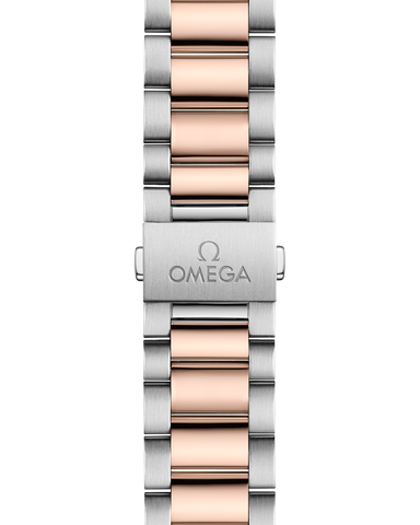 OMEGA 220.20.38.20.06.001 WATCH