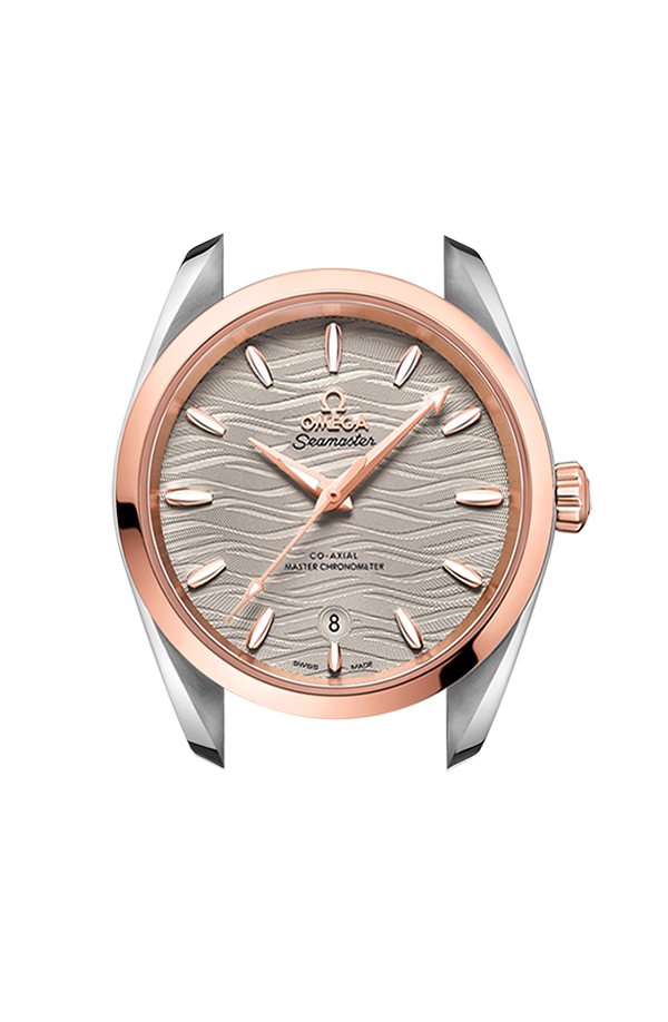 OMEGA 220.23.38.20.06.001 WATCH