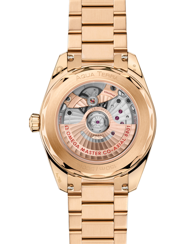 OMEGA 220.50.38.20.03.001 WATCH