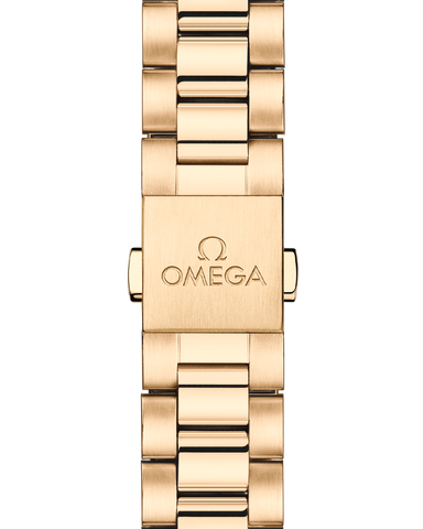 OMEGA 220.55.38.20.99.002 WATCH