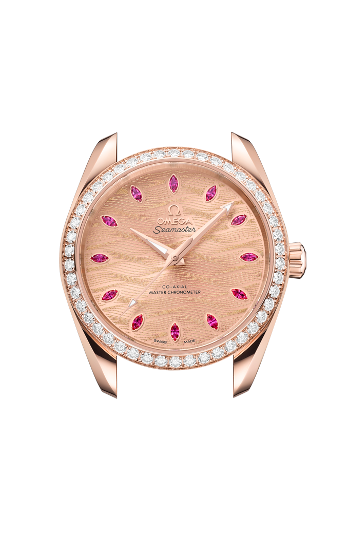 OMEGA 220.58.38.20.99.007 WATCH