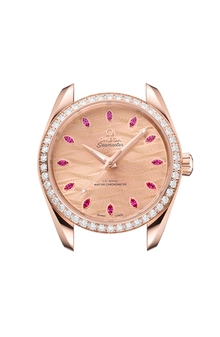 OMEGA 220.58.38.20.99.007 WATCH