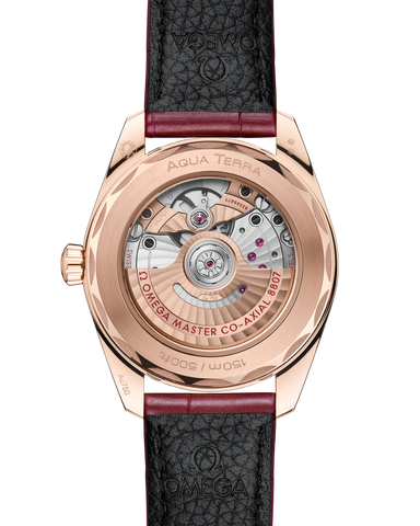 OMEGA 220.58.38.20.99.007 WATCH