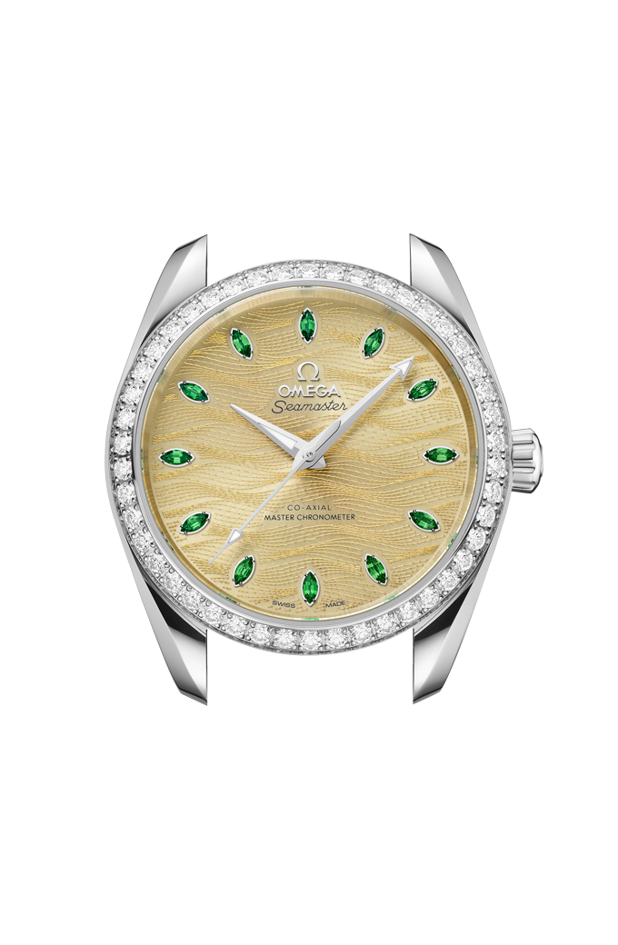 OMEGA 220.58.38.20.99.008 WATCH
