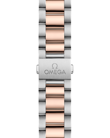 OMEGA 220.20.41.21.02.001 WATCH