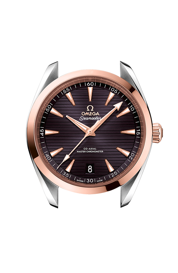 OMEGA 220.20.41.21.06.001 SEAMASTER AQUA TERRA 150M 41 mm | IPPO