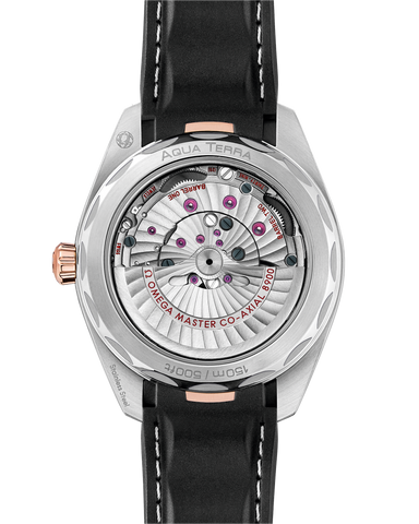 OMEGA 220.22.41.21.02.001 WATCH