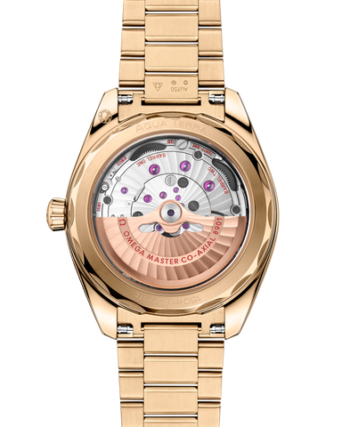OMEGA 220.50.41.21.10.001 WATCH