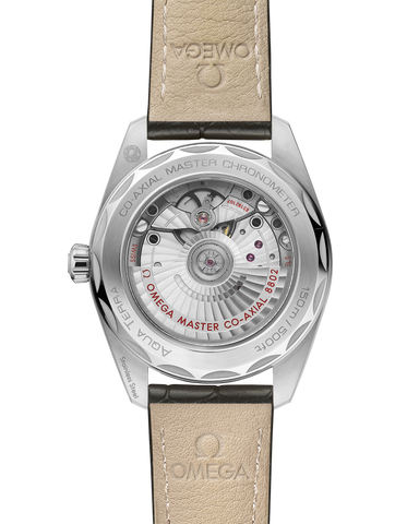 OMEGA 220.13.38.20.60.001 WATCH
