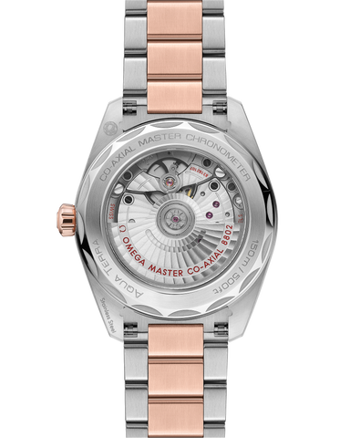 OMEGA 220.20.38.20.55.002 WATCH