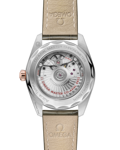 OMEGA 220.23.38.20.60.001 WATCH