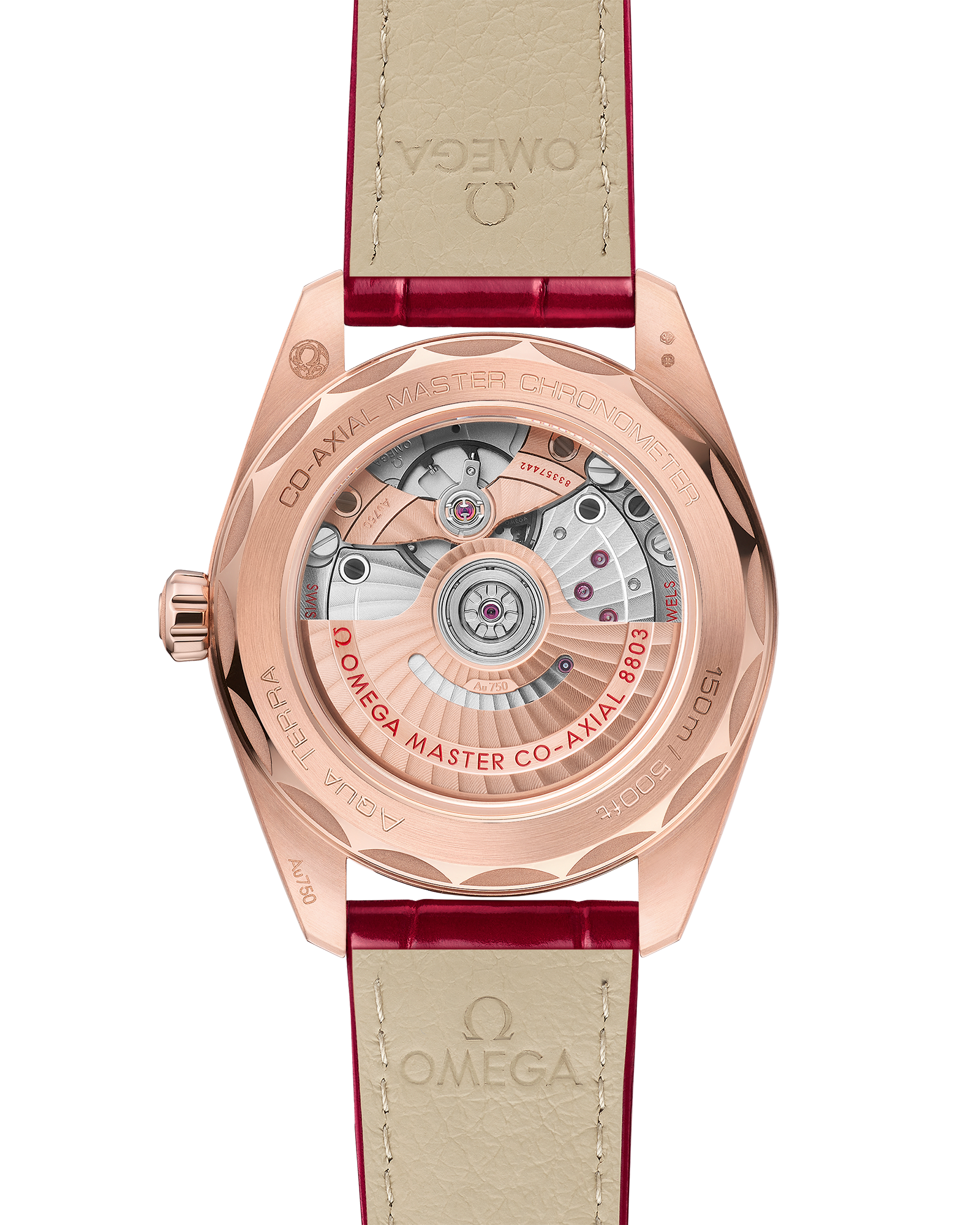 OMEGA 220.58.38.20.55.002 WATCH