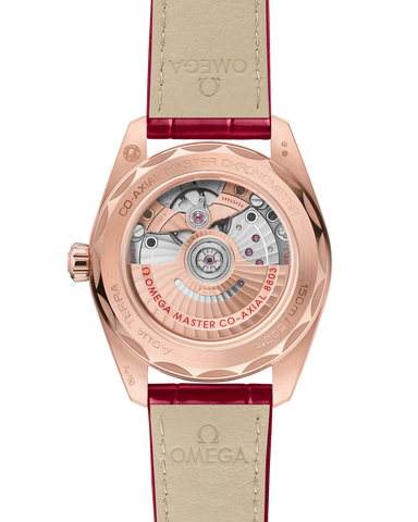 OMEGA 220.58.38.20.55.002 WATCH