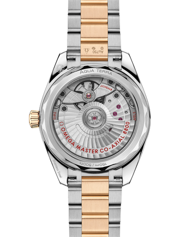 OMEGA 220.20.34.20.08.001 WATCH
