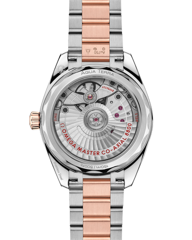 OMEGA 220.20.34.20.10.001 WATCH